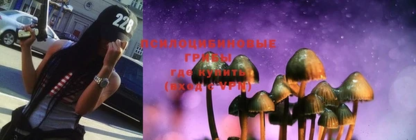 гидра Зеленодольск
