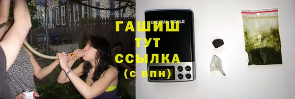 гидра Зеленодольск