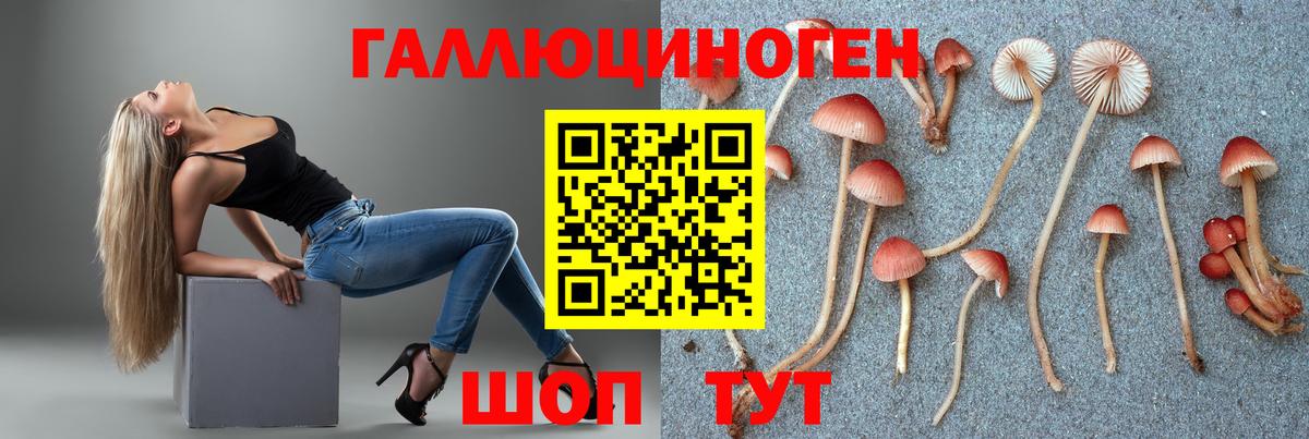 Керчь  Галлюциногенные грибы Magic Shrooms  Вход с VPN 